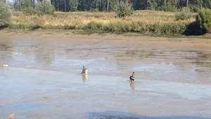 REPORTAJ. Familii de romi caută peşte în mâlul rămas la golirea lacului de acumulare Piteşti: 