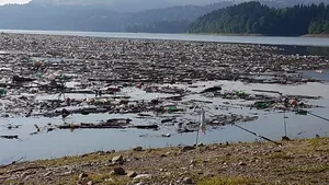 Un baraj, montat pe râul Cerna pentru a opri deşeurile, a fost rupt de buşteni. Operaţiunea de curăţare va dura circa trei zile