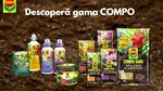 COMPO își extinde prezența în România prin colaborarea cu Verdon