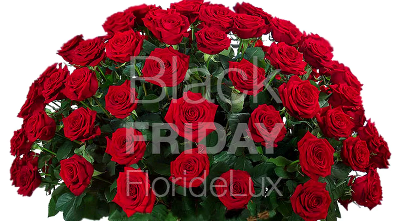 Black Friday la FlorideLux cu reduceri de până 50%