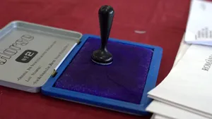 Președintele unei secții de votare din Gorj nu a mai găsit ștampila de vot