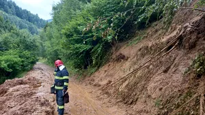 FOTO. Alunecare de teren într-un sat din Braşov: zeci de animale au murit