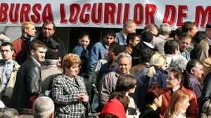 Peste o treime din români aşteaptă un an până îşi găsesc job, triplu faţă de 2009!
