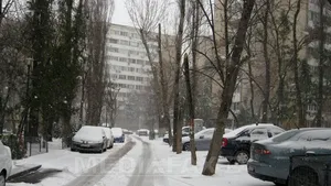 Un primar a inventat parazăpezi din crengi şi arbuşti pentru a evita blocarea drumurilor