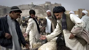 Un veterinar din armata britanică, prezenţă benefică pentru fermierii din Afganistan