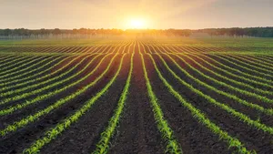 Soluţii de pionierat pentru o agricultură sustenabilă prin reducerea pierderilor de azot