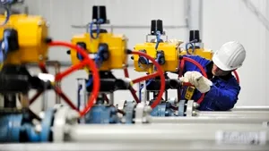 (P) Pentru companii.
Reviziile şi verificările instalaţiilor de gaze naturale, o prioritate pentru afaceri
