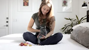 Felinele şi jucăriile: De ce preferă pisica ta să doarmă în loc să se joace?