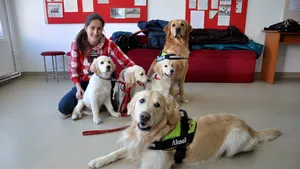 Doi câini, folosiţi în terapia copiilor cu dizabilităţi, într-un centru de specialitate din Sibiu 