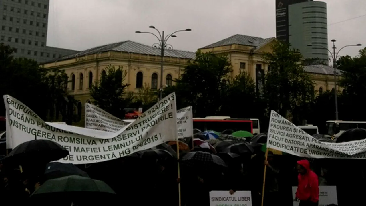Sute de pădurari protestează în Capitală, fiind nemulţumiţi de situaţia pădurilor. 