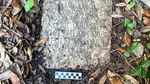 Piatră funerară romană, veche de aproape 2.000 de ani, descoperită într-o curte din SUA. Cum ar fi ajuns acolo