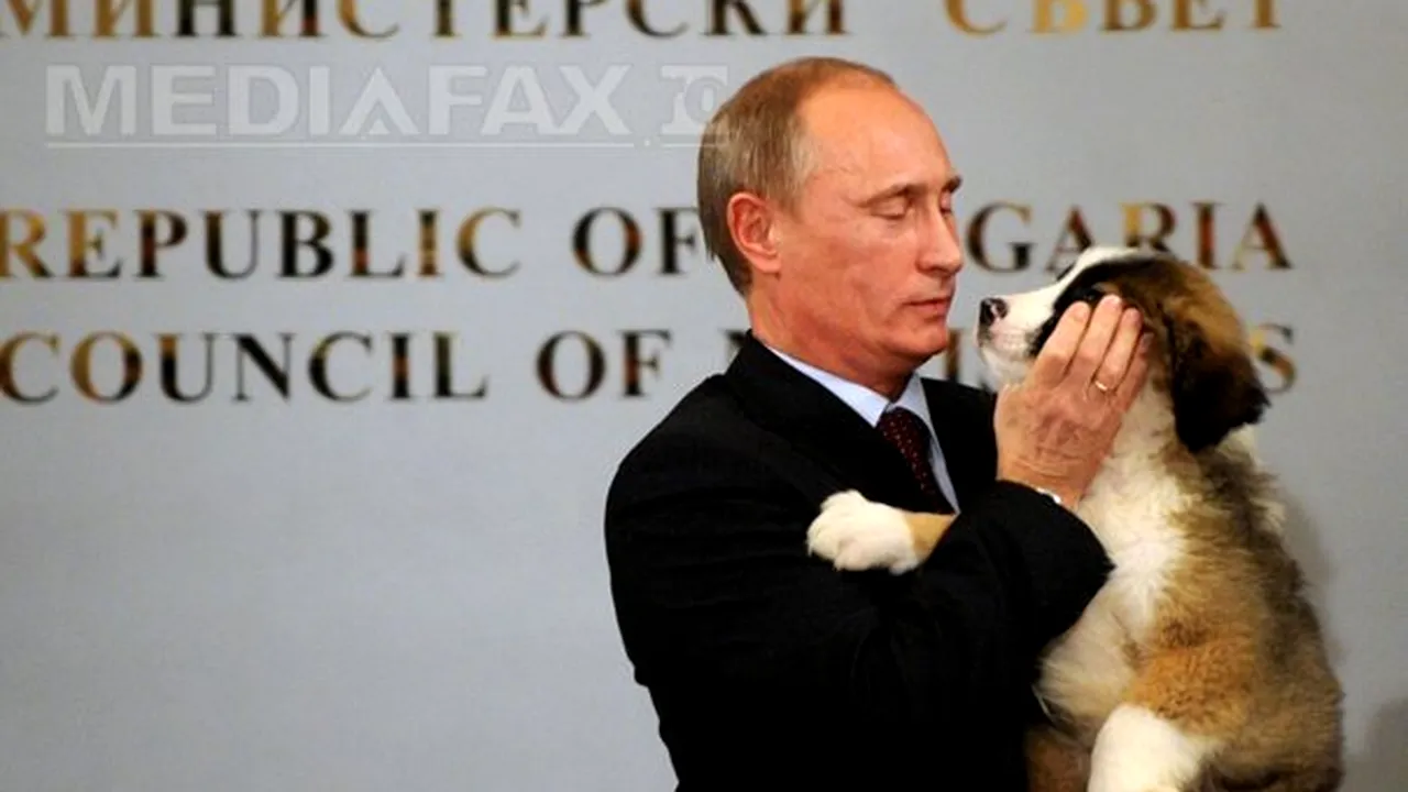 Putin le cere ruşilor să îl ajute să găsească un nume pentru căţelul primit în Bulgaria