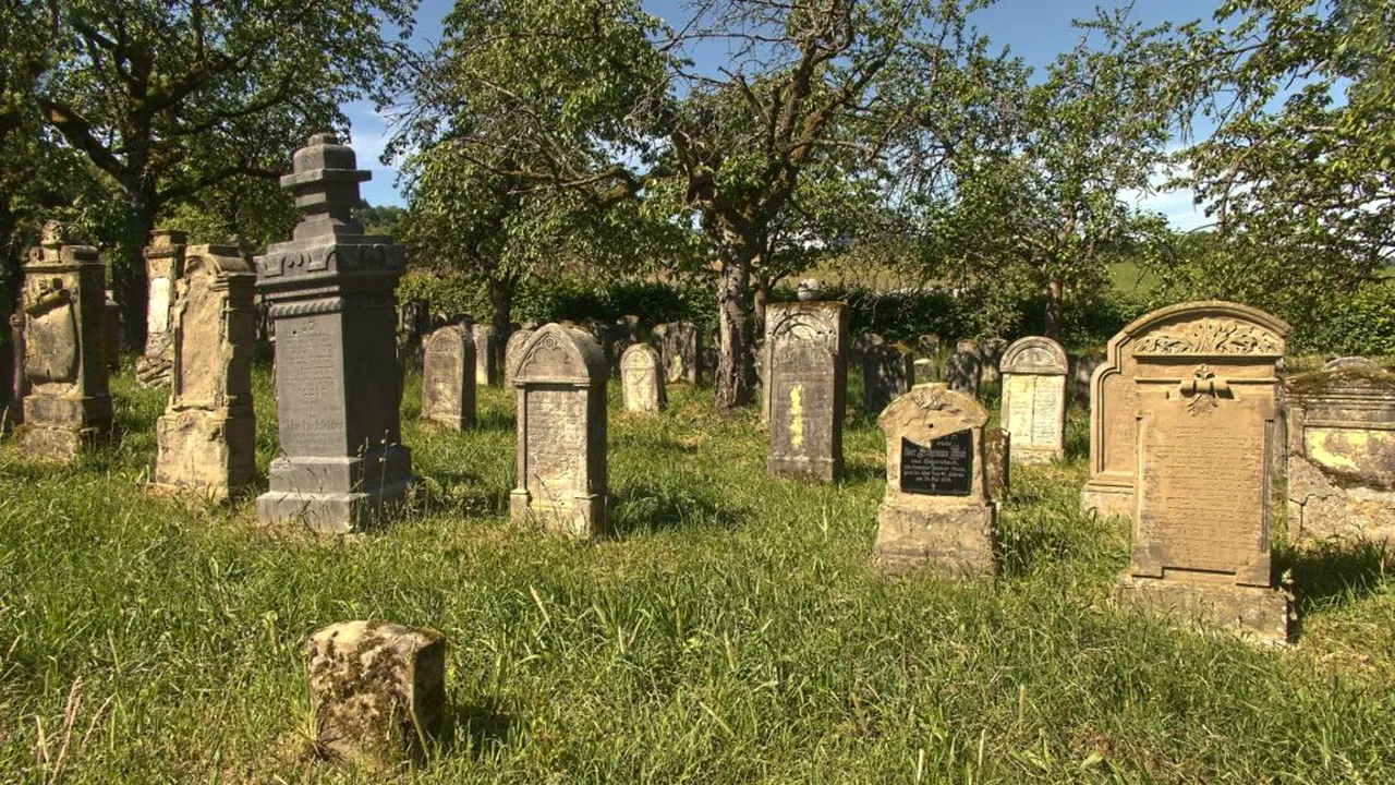 Fenomen rar sub solul unui cimitir. Peste 5 milioane de albine trăiesc acolo de mai bine de un secol