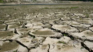 Romania Readies Extra RON100M For Irrigation To Fight Drought