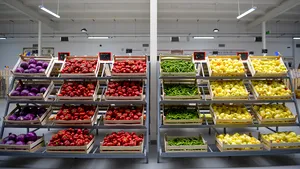 Identificare a produselor locale se va realiza după un semn distinctiv. Anunţul făcut de Ministrul Agriculturii 