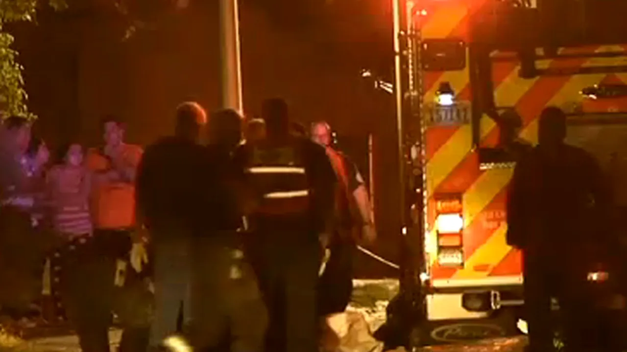 Cel puţin 41 de câini au murit într-un incendiu care a cuprins o casă din Las Vegas - VIDEO