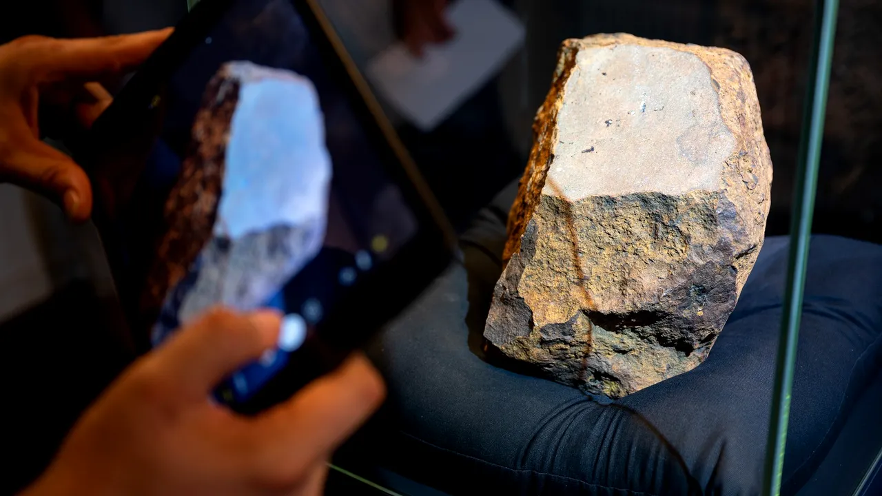 Bucăţile unui meteorit căzut în Costa Rica în 2019 arată că acesta ar putea conţine urme de viaţă