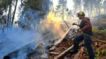 Îngrijorare la Madrid, după cutremurul devastator din Columbia: 164 de spanioli au dispărut