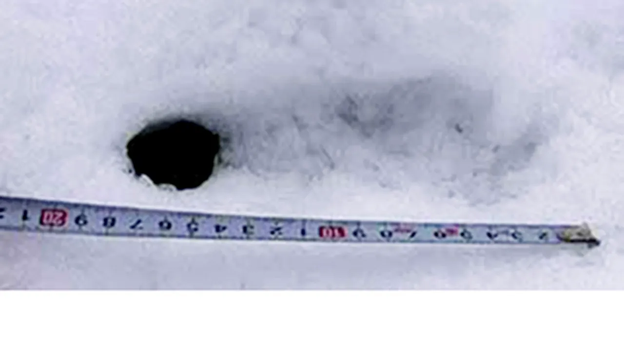 Urmele paşilor lui Yeti, descoperite în Himalaya