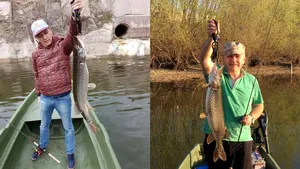 Cătălin Predoiu, prim-vicepreşedinte PNL: Cuminţenia pământului lua lecţii de la maestrul Dragnea; Să se ocupe mai puţin de pescuit