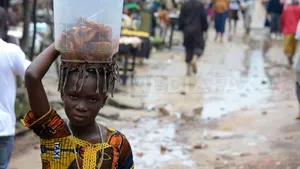 Reuniune a Consiliului de Securitate ONU pe tema epidemiei de Ebola