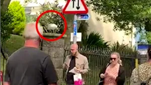 Momentul amuzant în care un pescăruş fură mâncarea din mâna unui bărbat flămând | VIDEO