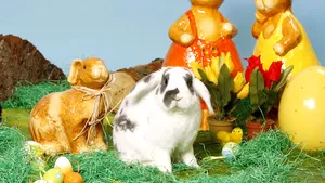 MESAJE DE PAŞTE. Urări haioase care pot fi trimise prin SMS