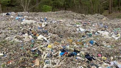 MEDIU O pădure protejată pentru plantele sale rare, îngropată sub 40.000 de tone de gunoaie. Refacerea ar putea dura decenii