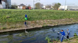 Poluare pe pârâul Peţa din Oradea