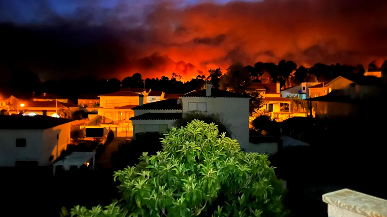 Incendiile de vegetaţie din Portugalia. Începe starea de alertă