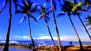 Jumătate dintre români îşi planifică vacanţa cu ajutorul site-urilor pentru călătorii şi al sfaturilor de la familie sau colegi