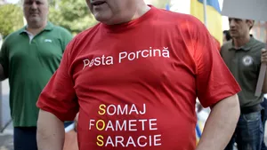 PESTA PORCINĂ | Peste 350.000 de porci au fost ucişi, iar sute de oameni şi-au pierdut locurile de muncă. Autorităţile sunt DEPĂŞITE de situaţie şi se cere intervenţia CSAT