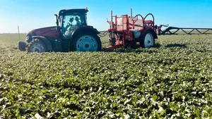 Câștigătoarea TalentA promovează agricultură sustenabilă în România printr-un proiect de măcinare a cerealelor pe piatră