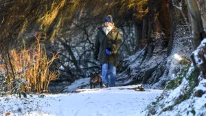 METEO Prognoza pentru luna februarie: Temperaturi mai ridicate decât cele normale