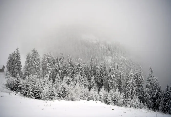 METEO Avertizări ANM: Cod portocaliu de ninsoare și vânt puternic la munte, în mai multe județe