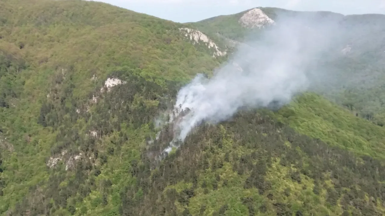 INCENDIU din Parcul Naţional Domogled: Forţe impresionante intervin pentru stingerea flăcărilor