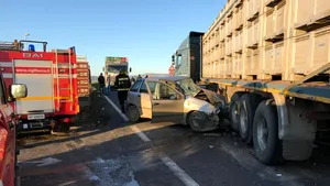 Trei români au fost răniţi grav într-un accident rutier produs în sudul Italiei - presă
