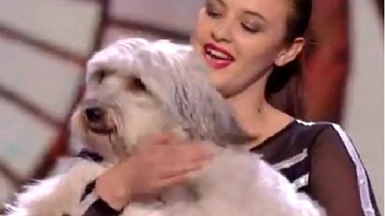 BRITAIN'S GOT TALENT: Câinele Pudsey, câştigătorul marelui premiu - VIDEO