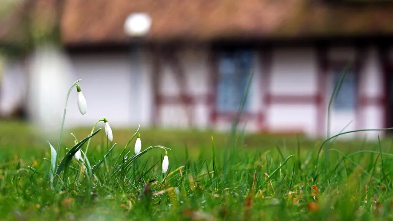 Primăvară în toată regula. Estimările ANM pentru următoarele două săptămâni