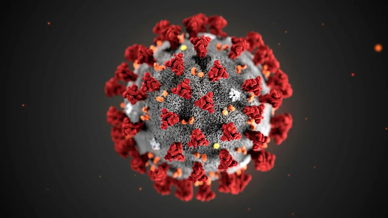 NYT: Informaţiile false despre coronavirus se extind în mediile de socializare online