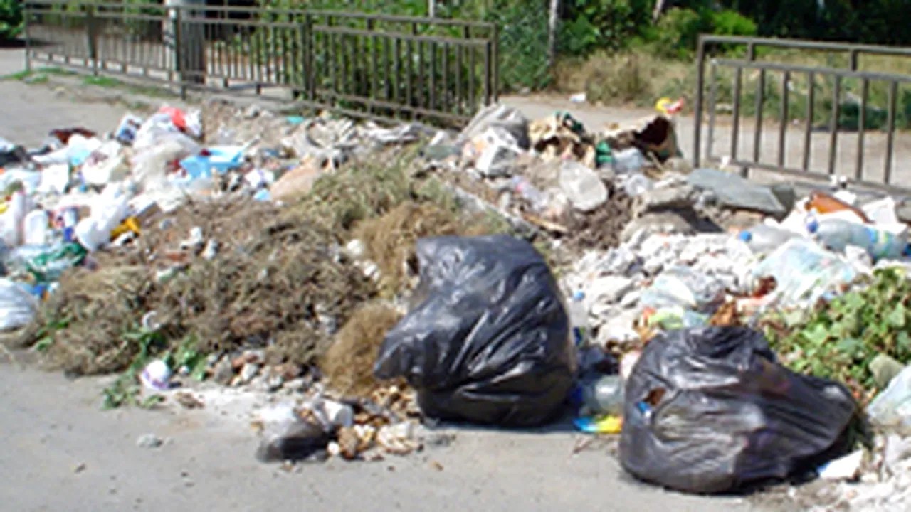 Criza gunoaielor. Joi este programată o nouă şedinţă la Consiliul Local al Sectorului 1