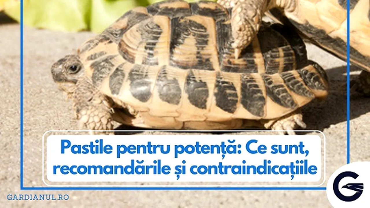 Pastile pentru rezistenta in pat: Ce sunt, recomandările şi contraindicaţiile