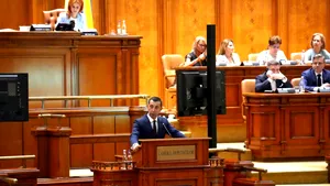 Preşedintele PNL Mureş: Primăriile vor putea externaliza serviciile pentru gestionarea câinilor fără stăpân