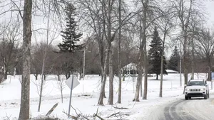 Mai multe județe din România, rămase fără curent. Intervenții în opt județe pentru restabilirea energiei electrice