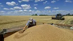 Ucraina caută rute alternative pentru exportul cerealelor, pe fondul blocării porturilor de către Rusia