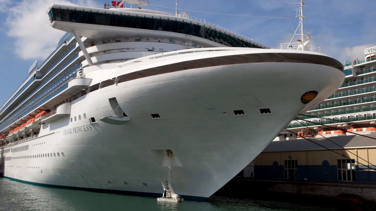 Opt cetăţeni români care s-au aflat la bordul navei de croazieră Grand Princess au revenit în ţară