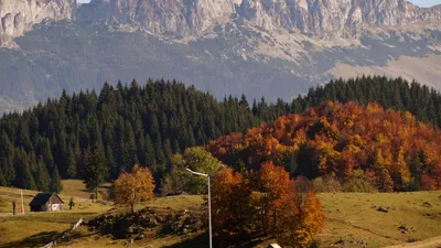 SOCIAL Gumuțeasca, o limbă veche de un secol, este încă vorbită într-un sat din România. Când este folosită de localnici