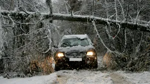 Cluj: Copaci şi stâlpi doborâţi de vânt şi drumuri blocate din cauza zăpezii