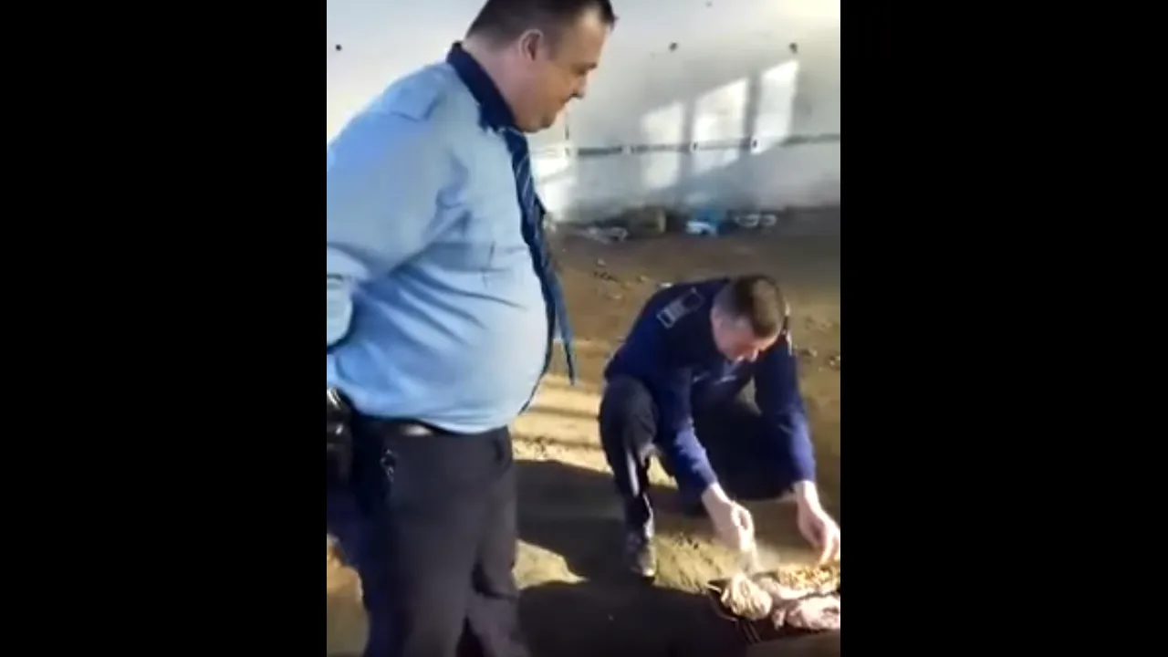 VIDEO Patru poliţişti din Bucureşti, PETRECERE în timpul programului. Oamenii legii, cercetaţi disciplinar