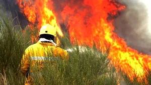 Incendiile din Portugalia au distrus 105.000 de hectare de păduri şi vegetaţie începând din ianuarie
